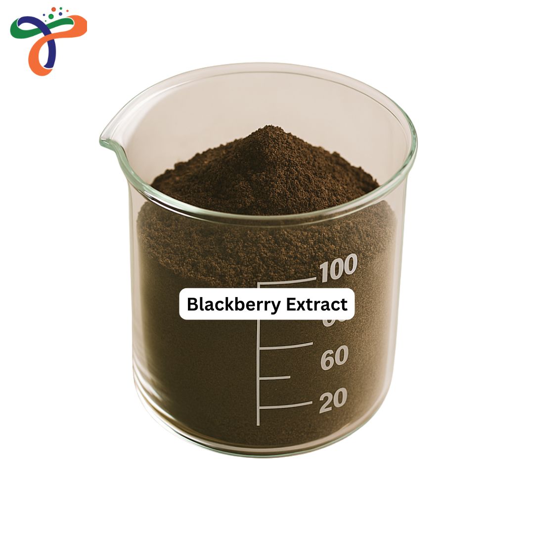 Blackberry Extract